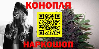 PSILOCYBIN Будённовск