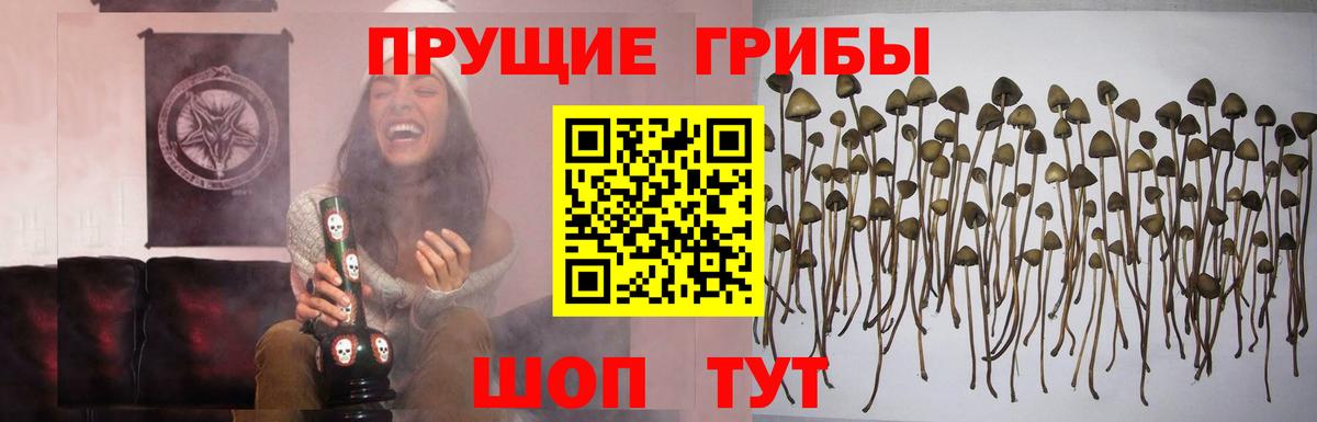 Галлюциногенные грибы GOLDEN TEACHER  Галлюциногенные грибы мухоморы  Вход с VPN  Копейск 